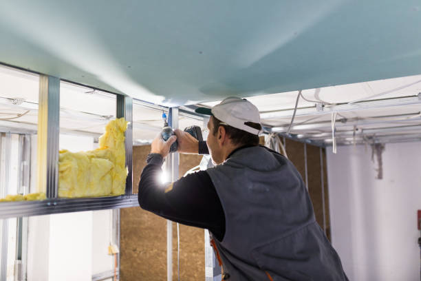 Best Insulation Contractors for Homes  in Dormont, PA
