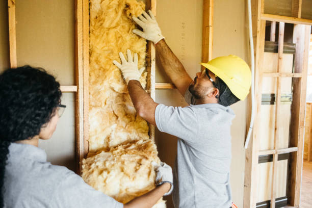 Best Commercial Insulation Contractor  in Dormont, PA