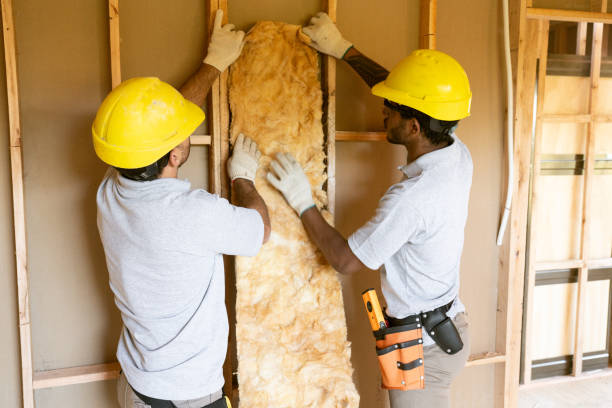Best Cellulose Insulation  in Dormont, PA